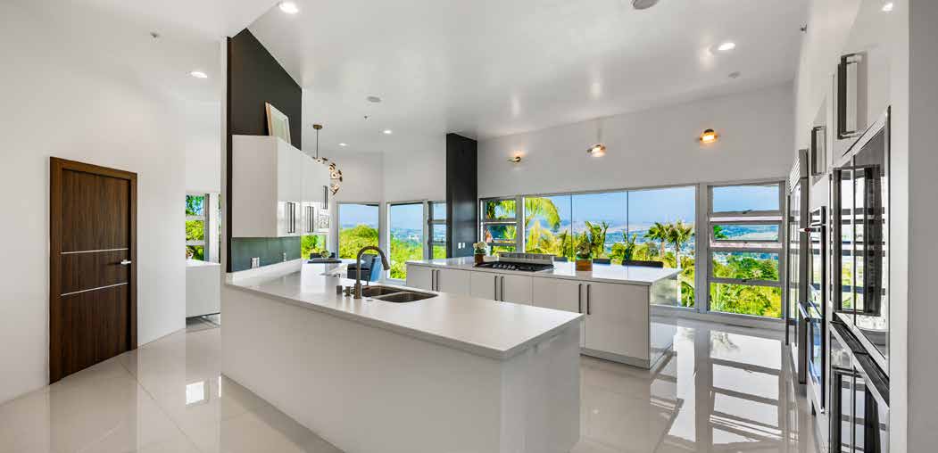 Chef's kitchen